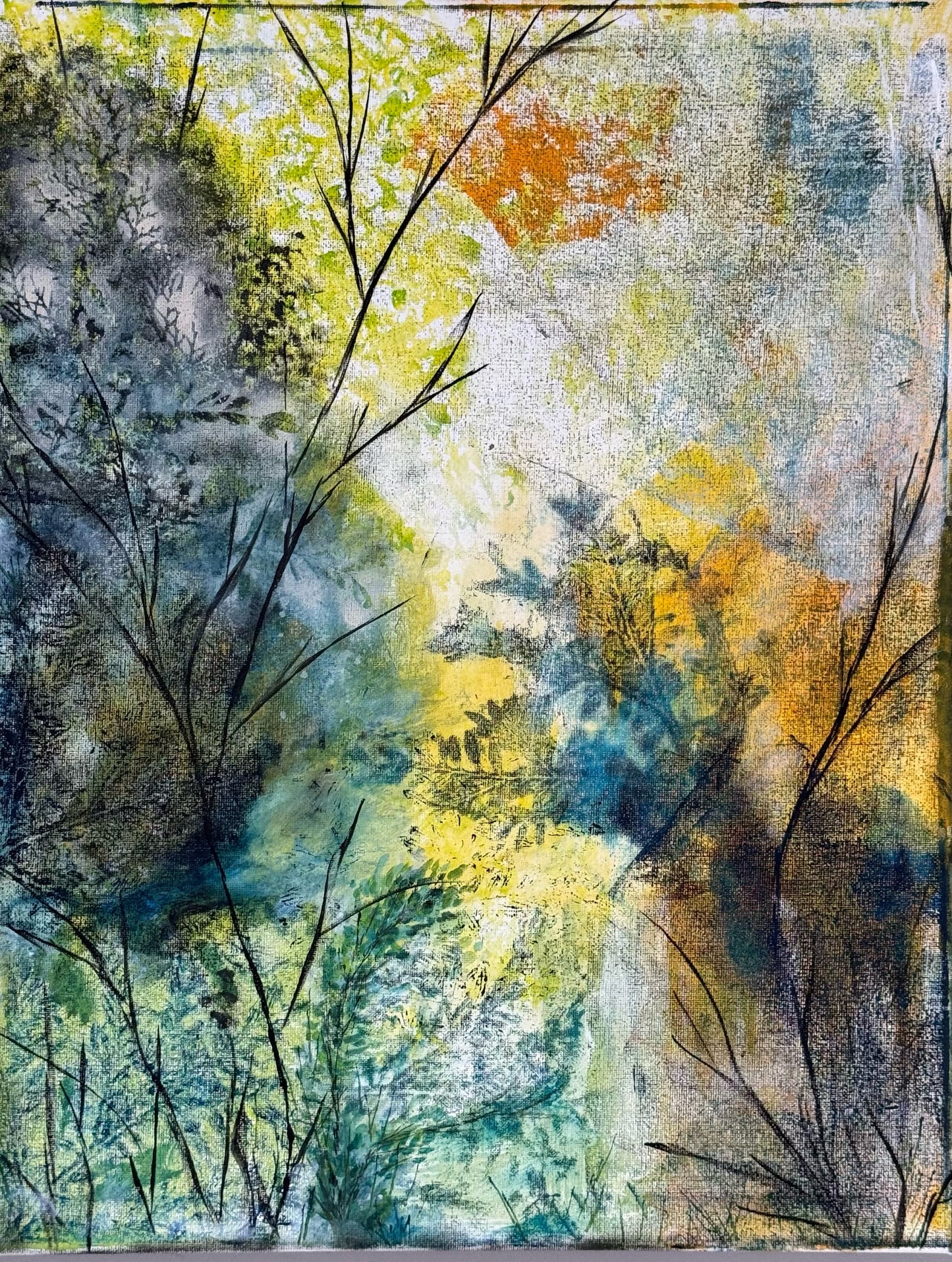 Impressions Of Nature