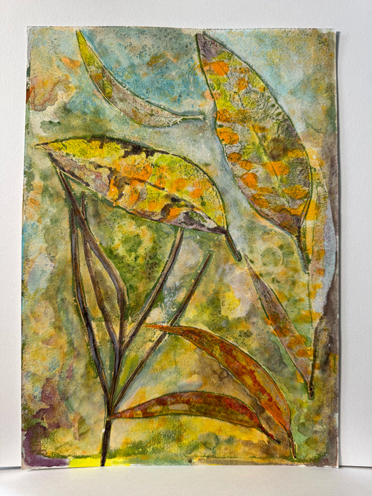 Eucalyptus Dance