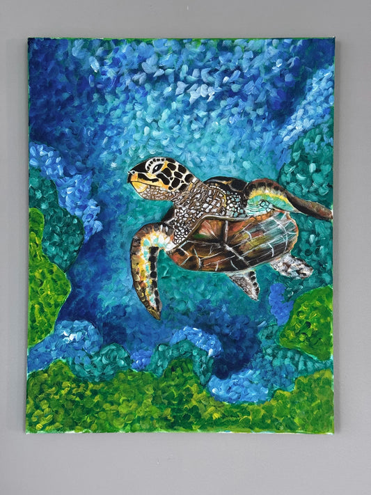 Turtle Drift