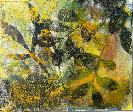 Forest Imprint