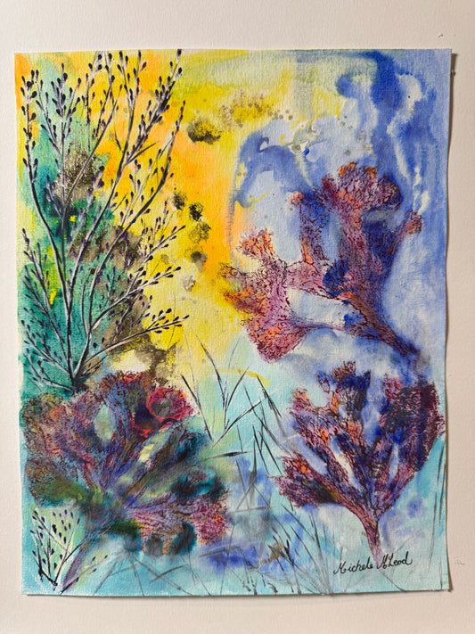 Morning Meadow